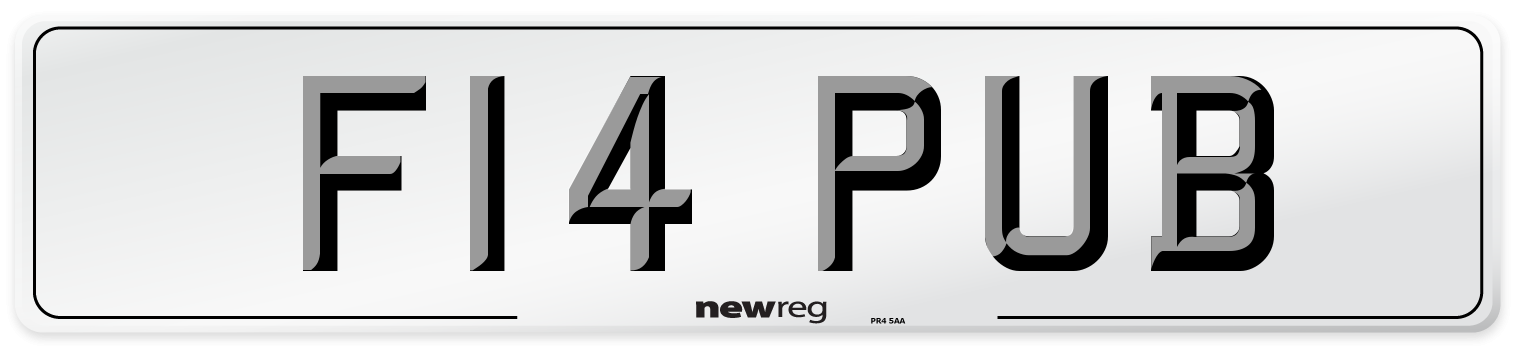 F14 PUB Number Plate from New Reg